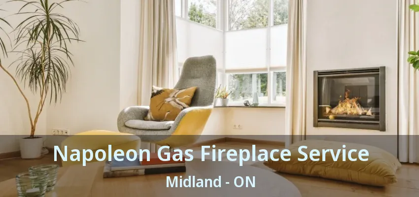 Napoleon Gas Fireplace Service Midland - ON Napoleon Gas Fireplace Service Midland - ON